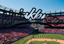 Cheapest Beer Prices At Baseball Stadiums